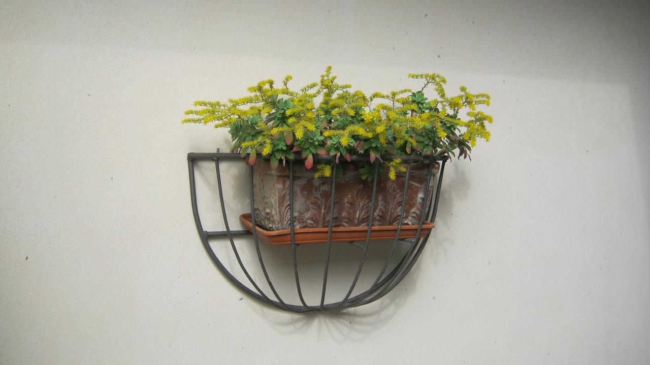 La Da Caterina *